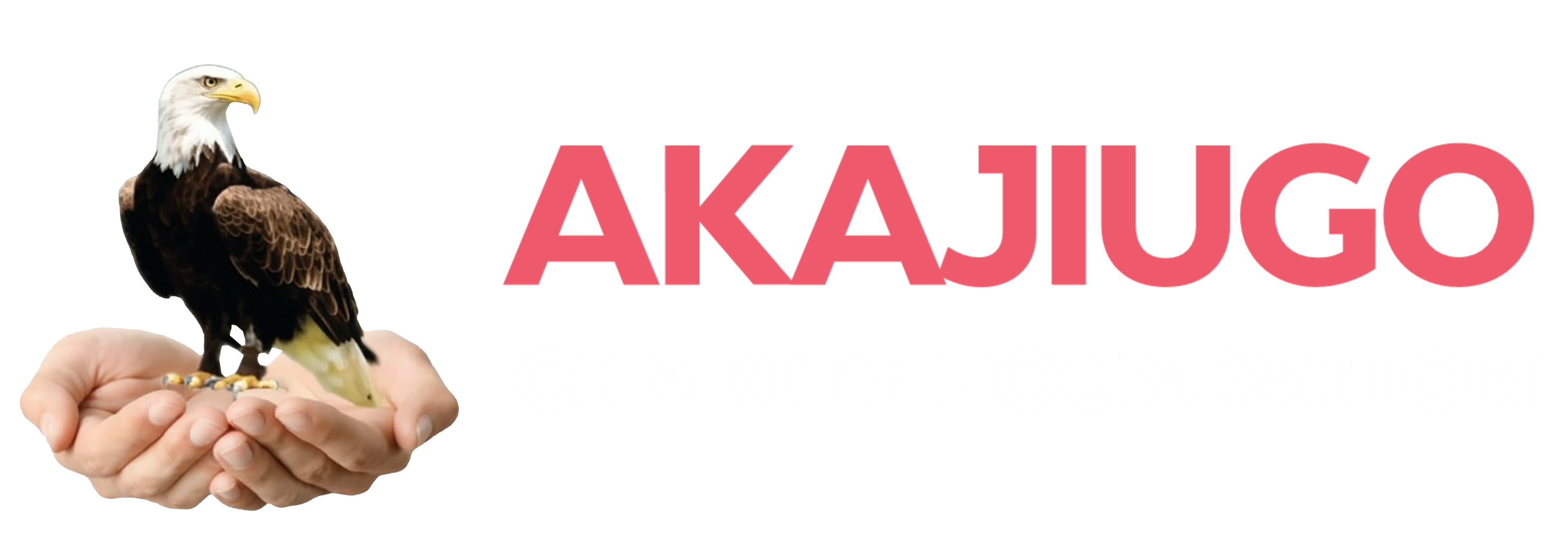 Akajiugo Foundation Logo